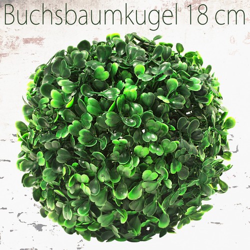 Buis boule plante - de,