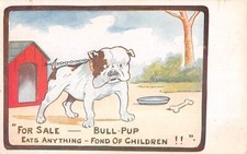 CPA FANTAISIE / REPRESENTANT UN CHIEN DE TYPE BOULEDOGUE