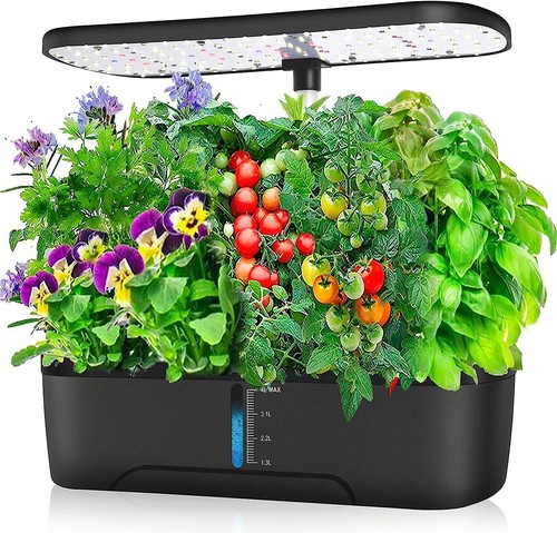 Jardin herbes aromatiques - jardin, d'herbes