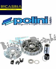 12542 - Variateur Polini