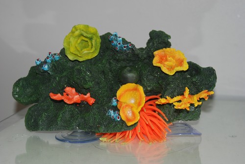 Aquarium large reef - aquarium,