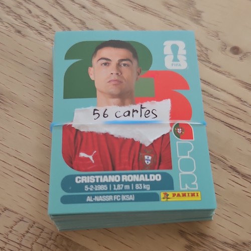 Panini fifa 2025 - panini,