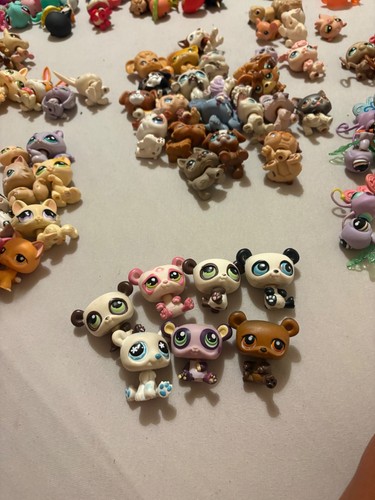 Lot koala hasbro lps petshop - lot,