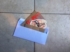 Madonna Guts Sticker Supreme