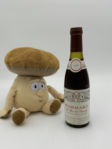 Demie pommard bas des - pommard,