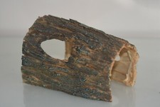 Aquarium Creux Journal Racine