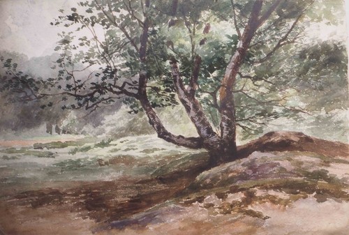 Tableau superbe aquarelle - tableau,