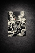 Hisoka anime manga canvas - anime,