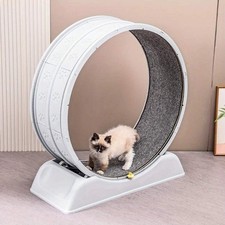 Cat Running Exercise Wheel