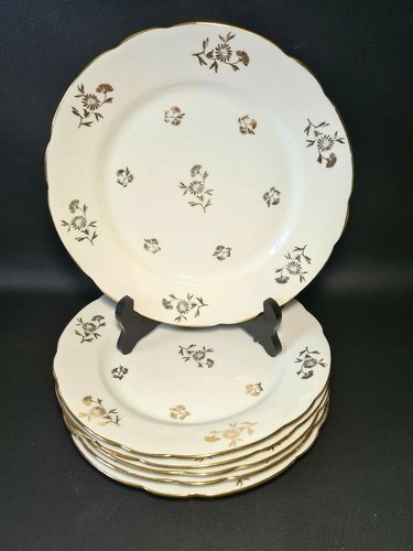 Assiettes plates en - 6,