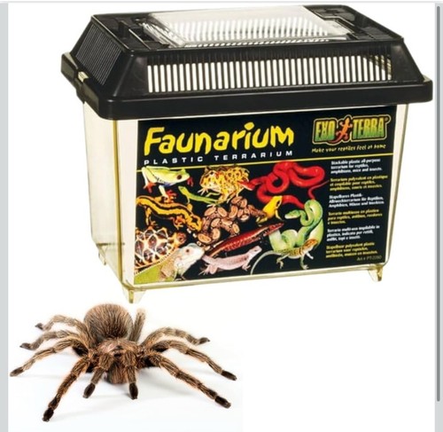 Exo terra faunarium - exo, plastic