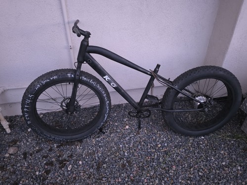 Project bad ass bike - bad,