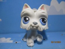 PETSHOP CHIEN WESTIE N°24 /