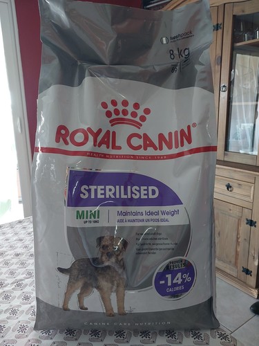 Croquettes chien royal canin - chien,