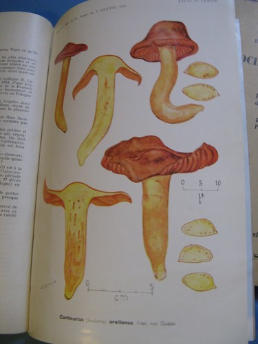 Societe mycologique france - societe, de