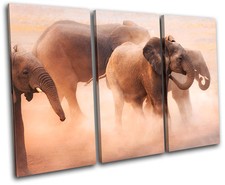 Baby Elephant Animals TREBLE