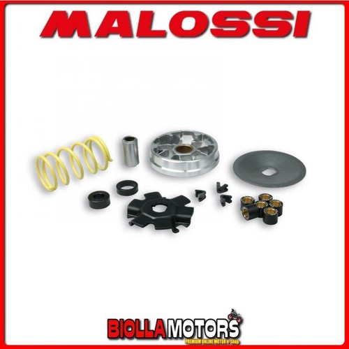 513863 variateur malossi - 513863,