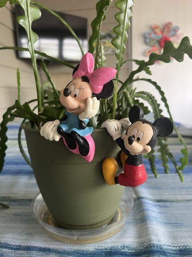 Disney pot hangers mickey - pot,