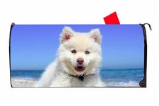 Cute White Dog Magnetic