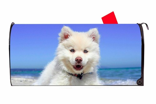 Cute white dog magnetic - cute,