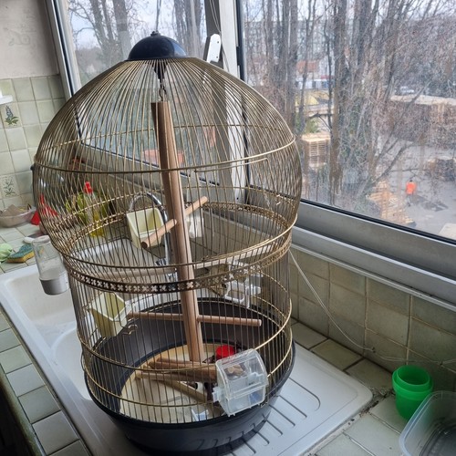 Cage oiseaux - cage, à