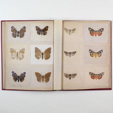 Album d'un chasseur de