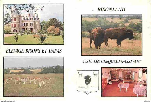 Carte postale les - carte,