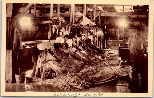 Chateau renault tannerie - 37,