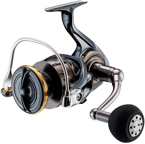Daiwa spinning reel casting - spinning,