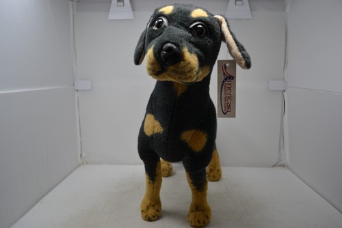 Doberman pinscher dog - doberman, 23