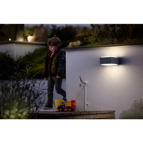 Philips led hedgehog 1733793pn - philips,