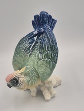 Karl Ens, perruche calopsitte