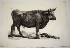 Gravure du 19ème siècle