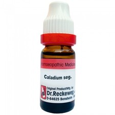 Dr. Reckeweg Caladium Seg. 6CH