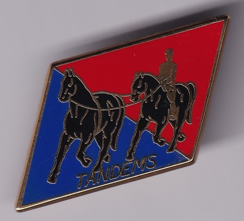 Rare pins pin - pins, gendarmerie