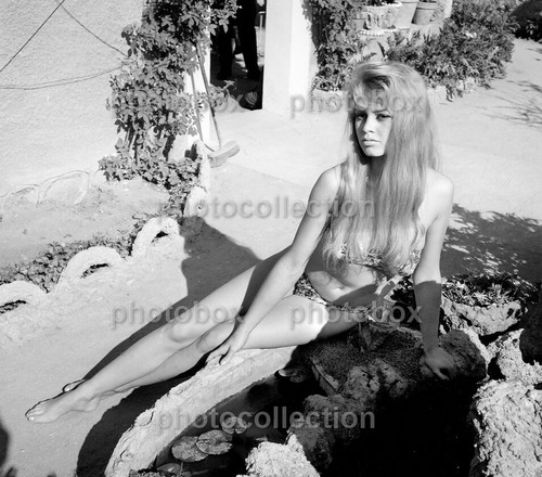 Brigitte bardot exclusive - brigitte,