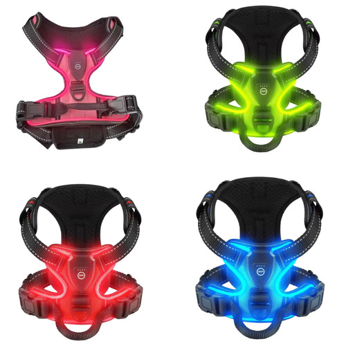 Harnais lumineux led - lumineux,
