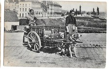 CPA - Belgique - Voiture à Chien - Laitières Flamandes