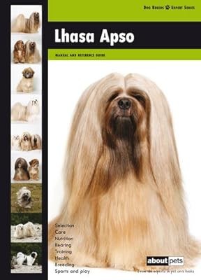 Lhasa apso dog - dog, expert