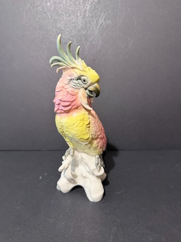 Cacatoès porcelaine - cacatoès,