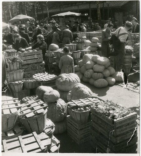 Photo willy ronis - willy,