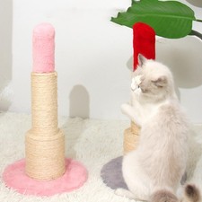 Arbres à Chat Mignons pour