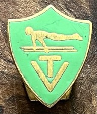 ANCIEN INSIGNE pour BOUTONNIÈRE .BARRES ASYMÉTRIQUES . GYMNASTIQUE (Voir photos)