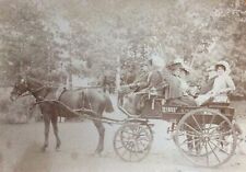 Photo- Caleche - Attelage- Cheval