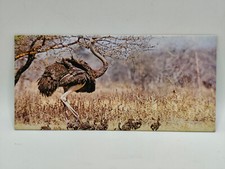 Nestlé MERVEILLES DU MONDE Carte N°24 "L'autruche" b