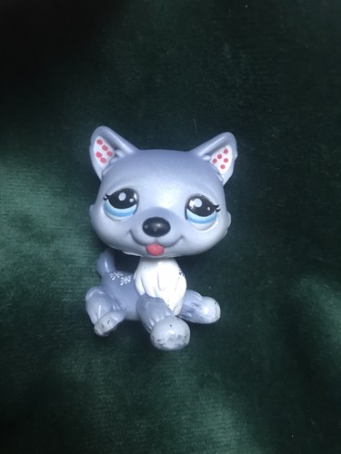 Petshop chien husky - chien,