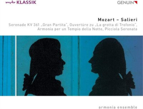 Wolfgang amadeus mozart - ,
