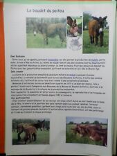 DOCUMENT A4 FDC 1° JOUR 2004