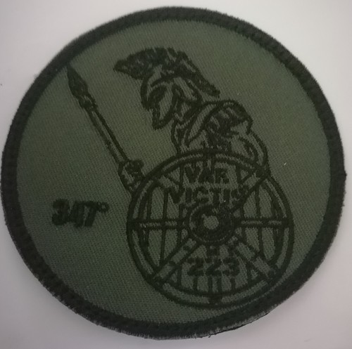Vae victis 347 223 - 347°, malheur