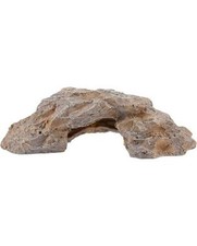 Grotte Reptiles Planet Terra